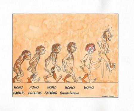 homo